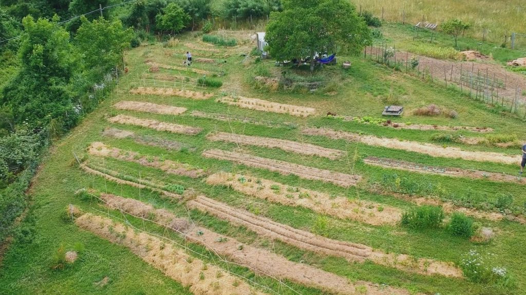 Video reportage Bio che bontà - Ristorante La Pidocchiosa 